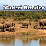 Materi biosfer materi biosfer