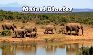 materi biosfer