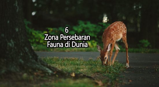 6 Zona Persebaran Fauna di Dunia