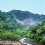 Taman Nasional Leuser Taman Nasional Leuser