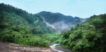 Taman Nasional Leuser