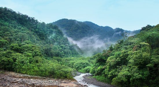 Taman Nasional Leuser