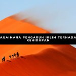 BAGAIMANA PENGARUH IKLIM TERHADAP KEHIDUPAN iklim