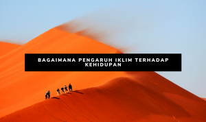 BAGAIMANA PENGARUH IKLIM TERHADAP KEHIDUPAN iklim