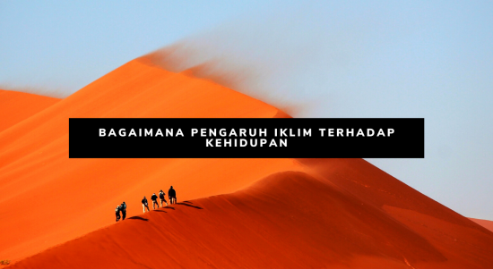 BAGAIMANA PENGARUH IKLIM TERHADAP KEHIDUPAN iklim