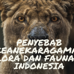 PENYEBAB KEANEKARAGAMAN FLORA DAN FAUNA DI INDONESIA flora dan fauna