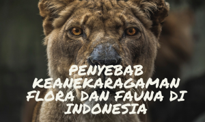 PENYEBAB KEANEKARAGAMAN FLORA DAN FAUNA DI INDONESIA flora dan fauna