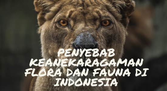 PENYEBAB KEANEKARAGAMAN FLORA DAN FAUNA DI INDONESIA flora dan fauna