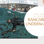 BANGSRING