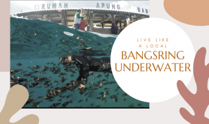 BANGSRING UNDERWATER BANGSRING