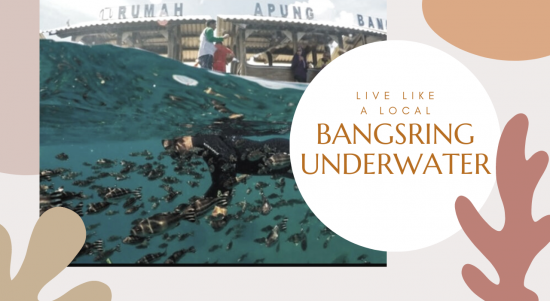 BANGSRING UNDERWATER BANGSRING