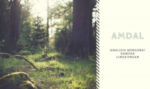 AMDAL ANALISIS MENGENAI DAMPAK LINGKUNGAN