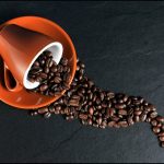 Perkebunan Kopi