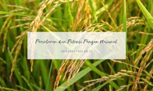 Persebaran dan Potensi Pangan Nasional persebaran potensi pangan nasional