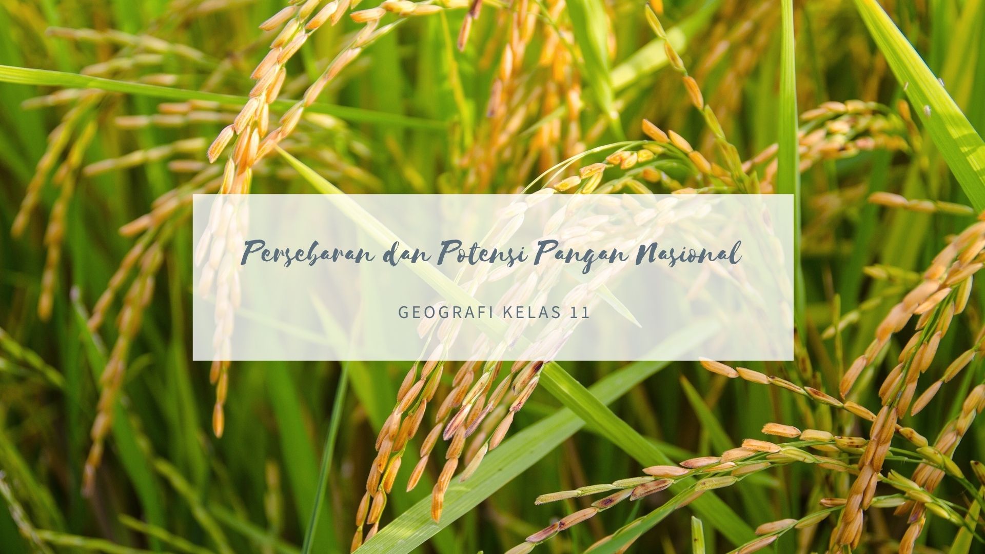 persebaran potensi pangan nasional