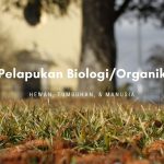 Pelapukan Biologi atau Organik pelapukan biologi