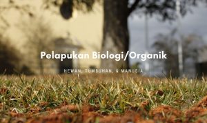 pelapukan biologi