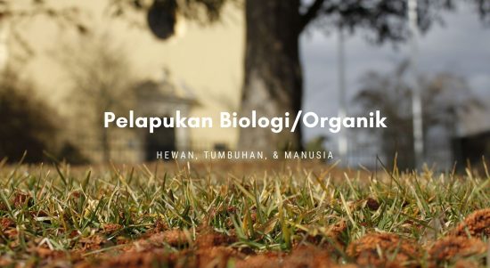 Pelapukan Biologi atau Organik pelapukan biologi