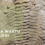 Skala Waktu Geologi