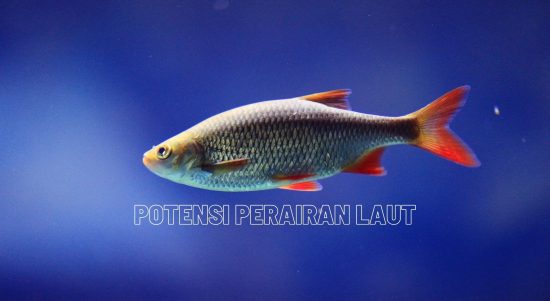 Potensi Perairan Laut Indonesia