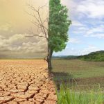 Efek Rumah Kaca