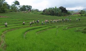 Geopark Karangsambung