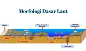 Morfologi Dasar Laut