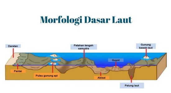 Morfologi Dasar Laut