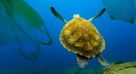 Penyebab Pencemaran Perairan Laut (1)