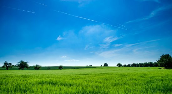 panoramic photography of green field