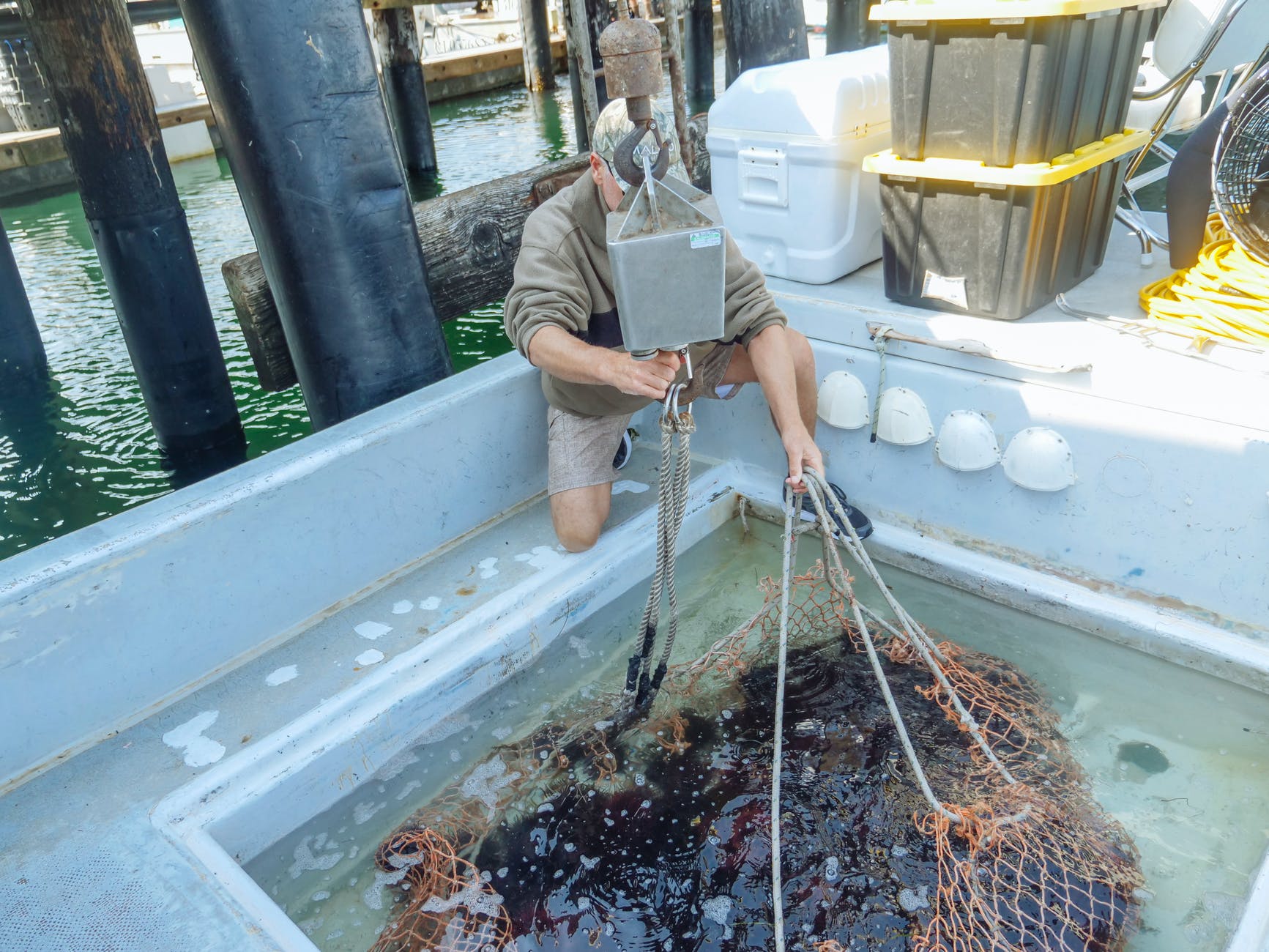 food fishing sea mountains