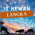10 Hewan Langka Di Indonesia
