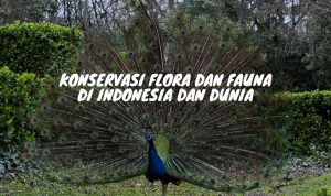 Konservasi Flora dan Fauna di Indonesia dan Dunia