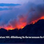 Pemanfaatan SIG dibidang Kebencanaan Kebakaran