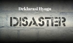 Deklarasi Hyogo
