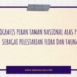 Infografis Peran Taman Nasional Alas Purwo Sebagai Pelestarian Flora dan Fauna