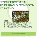 Potensi pengembangan argo durian songgon banyuwangi