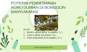Potensi pengembangan argo durian songgon banyuwangi