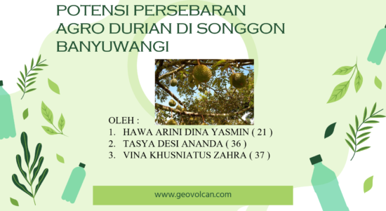 Potensi pengembangan argo durian songgon banyuwangi