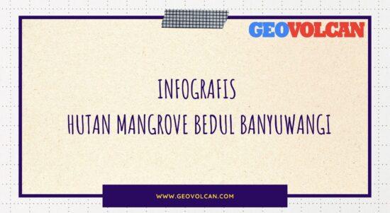 infografis Hutan Mangrove Bedul Banyuwangi