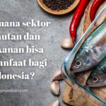 Bagaimana sektor Kelautan dan Perikanan bisa bermanfaat bagi Indonesia