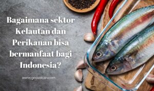 Bagaimana sektor Kelautan dan Perikanan bisa bermanfaat bagi Indonesia