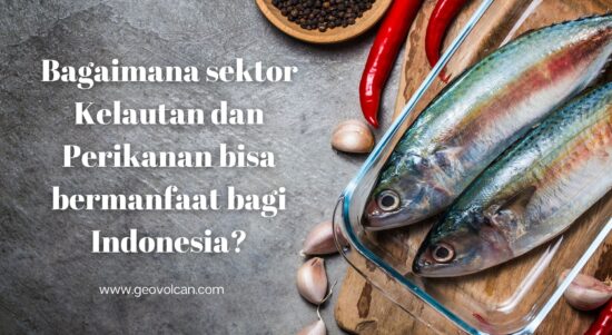 Bagaimana sektor Kelautan dan Perikanan bisa bermanfaat bagi Indonesia