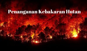 Penanganan Kebakaran Hutan