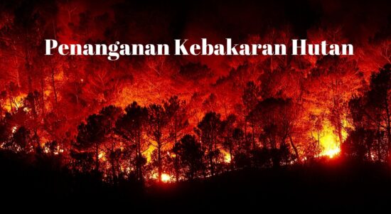 Penanganan Kebakaran Hutan