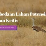 Perbedaan Lahan Potensial Dan Lahan Kritis