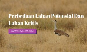 Perbedaan Lahan Potensial Dan Lahan Kritis