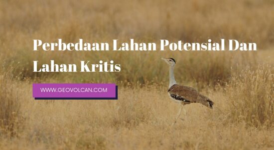 Perbedaan Lahan Potensial Dan Lahan Kritis