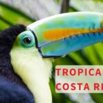 5 International Spots to Must-Visit With Kids