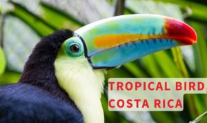 5 International Spots to Must-Visit With Kids